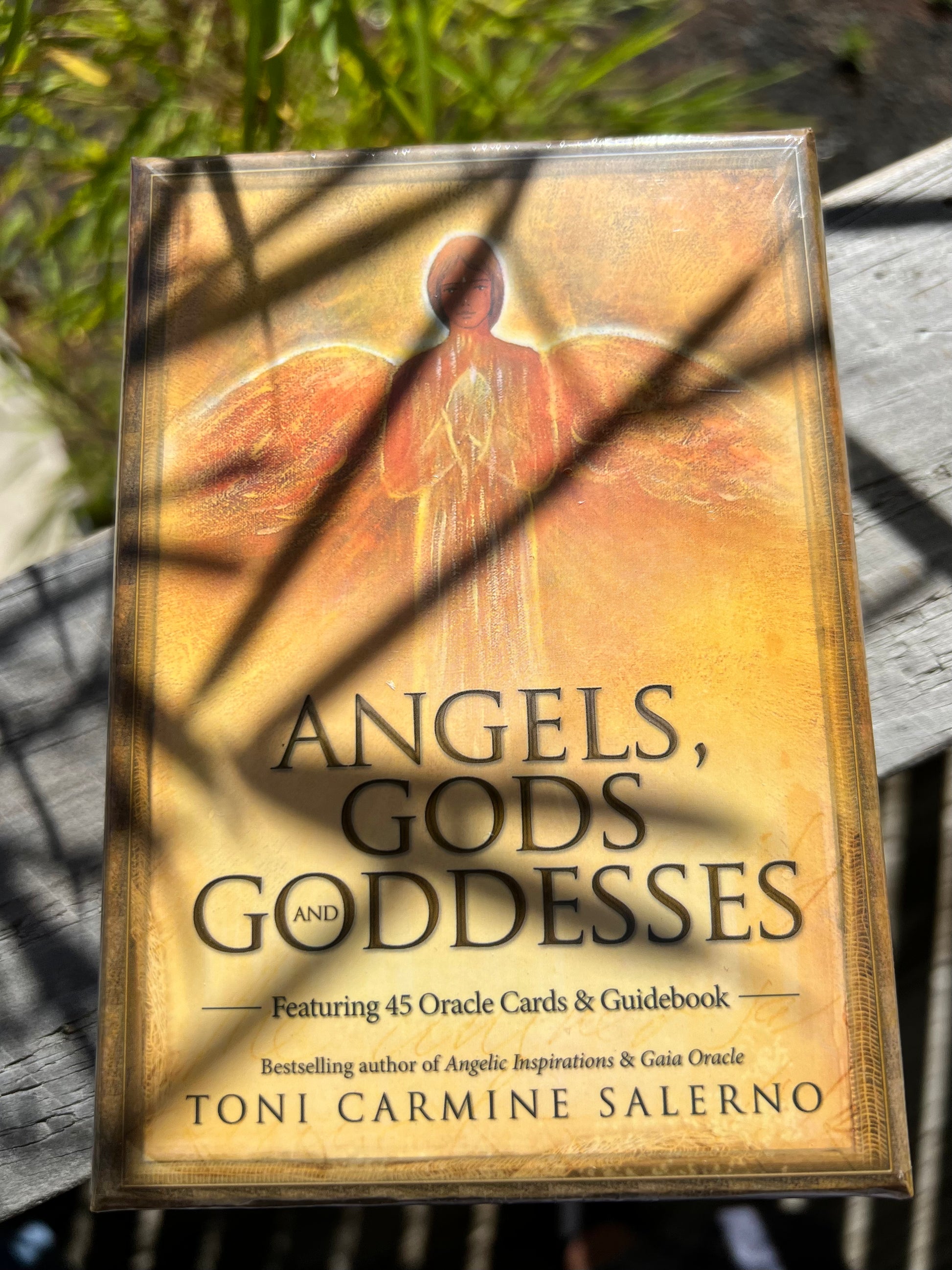 Angels Gods and Goddesses Oracle Cards. Toni Carmine Salerno – Earth ...